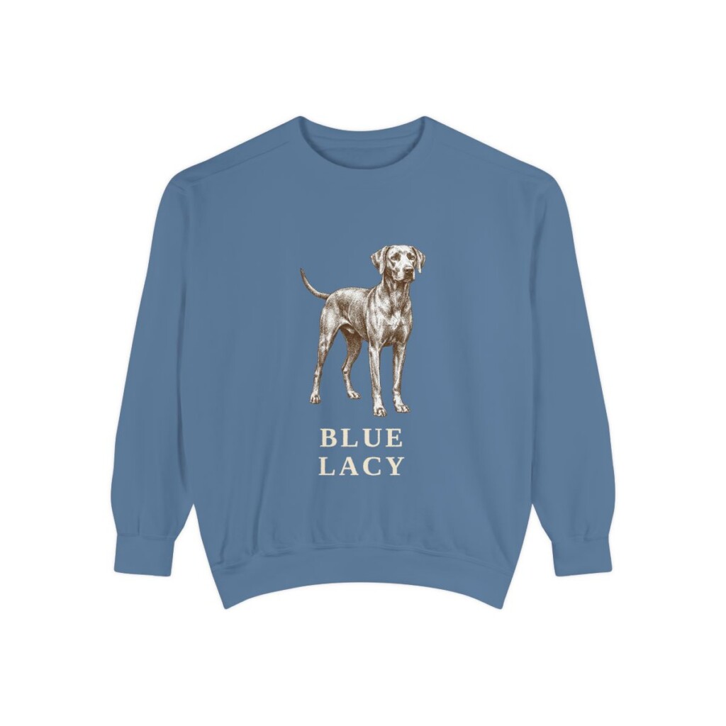 Blue Lacy Sweatshirt, Blue Jean, front view