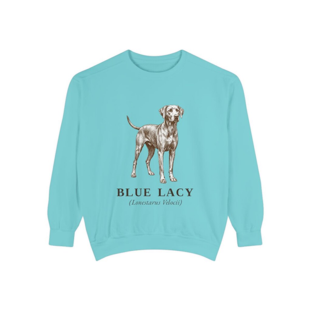 Blue Lacy Latin Sweatshirt, Chalky Mint, front view