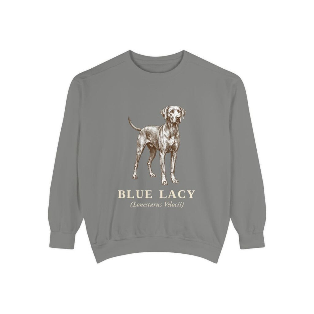 Blue Lacy Latin Sweatshirt, Grey, front view