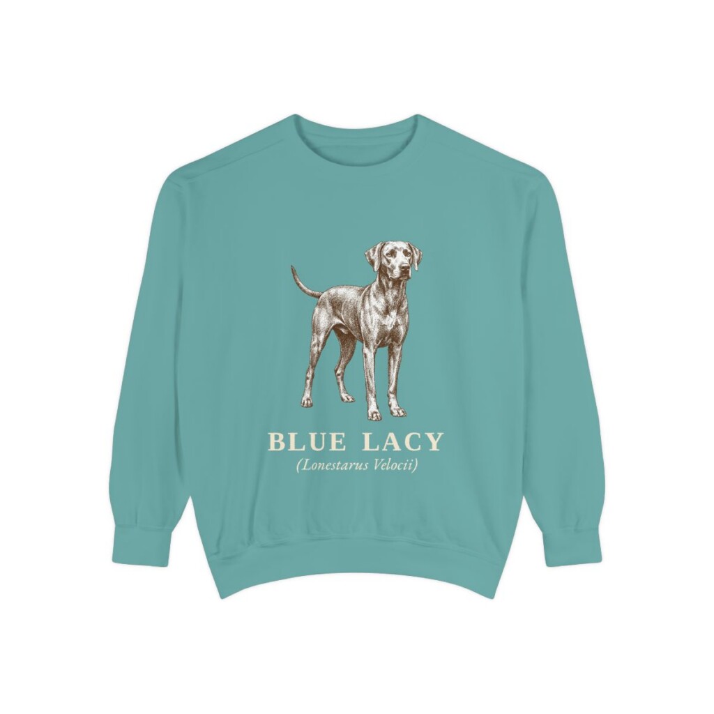 Blue Lacy Latin Sweatshirt, Seafoam, front view