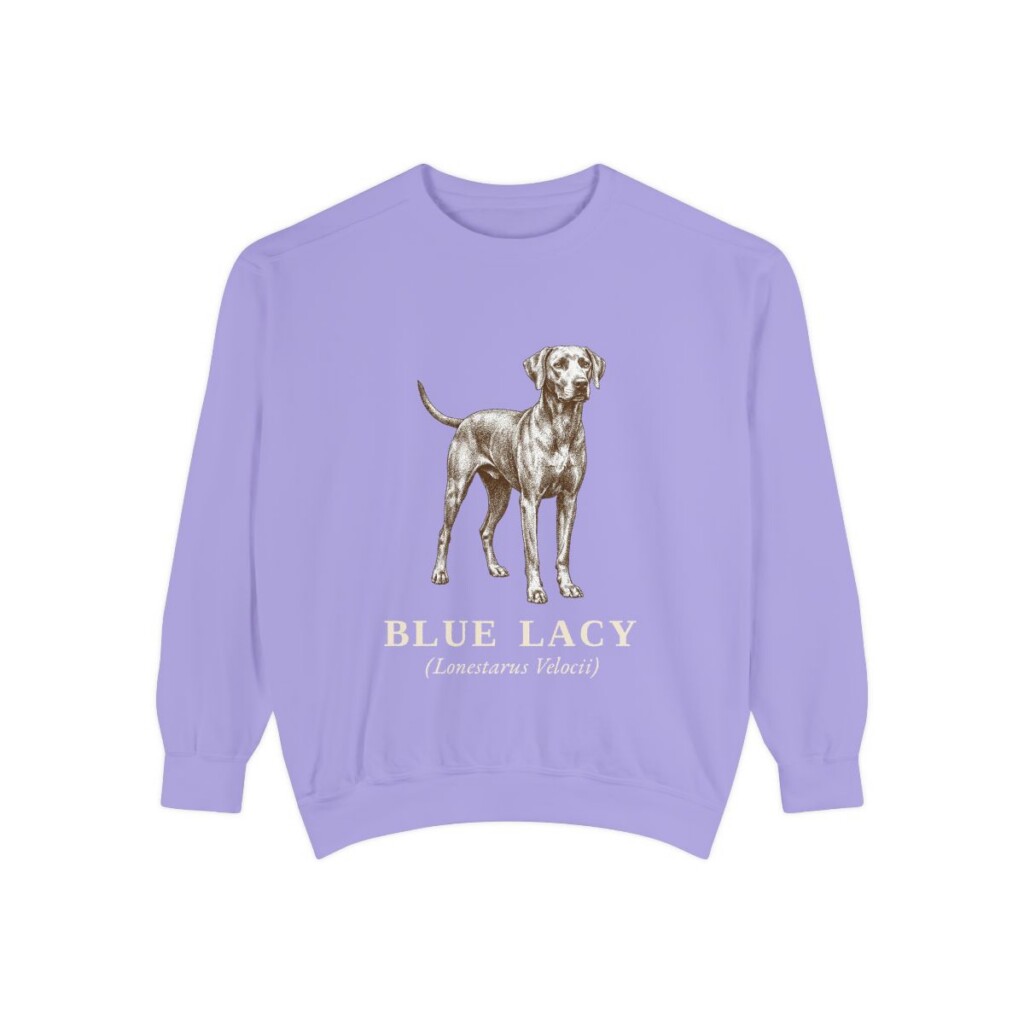 Blue Lacy Latin Sweatshirt, Violet, front view