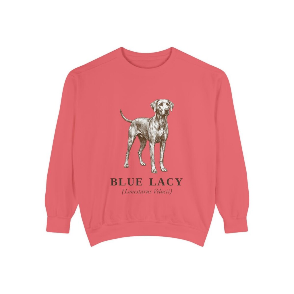 Blue Lacy Latin Sweatshirt, Watermelon, front view