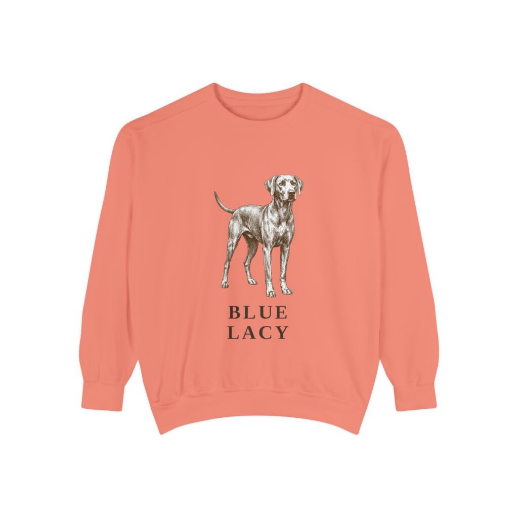 Blue Lacy Sweatshirt, Terracotta, front view