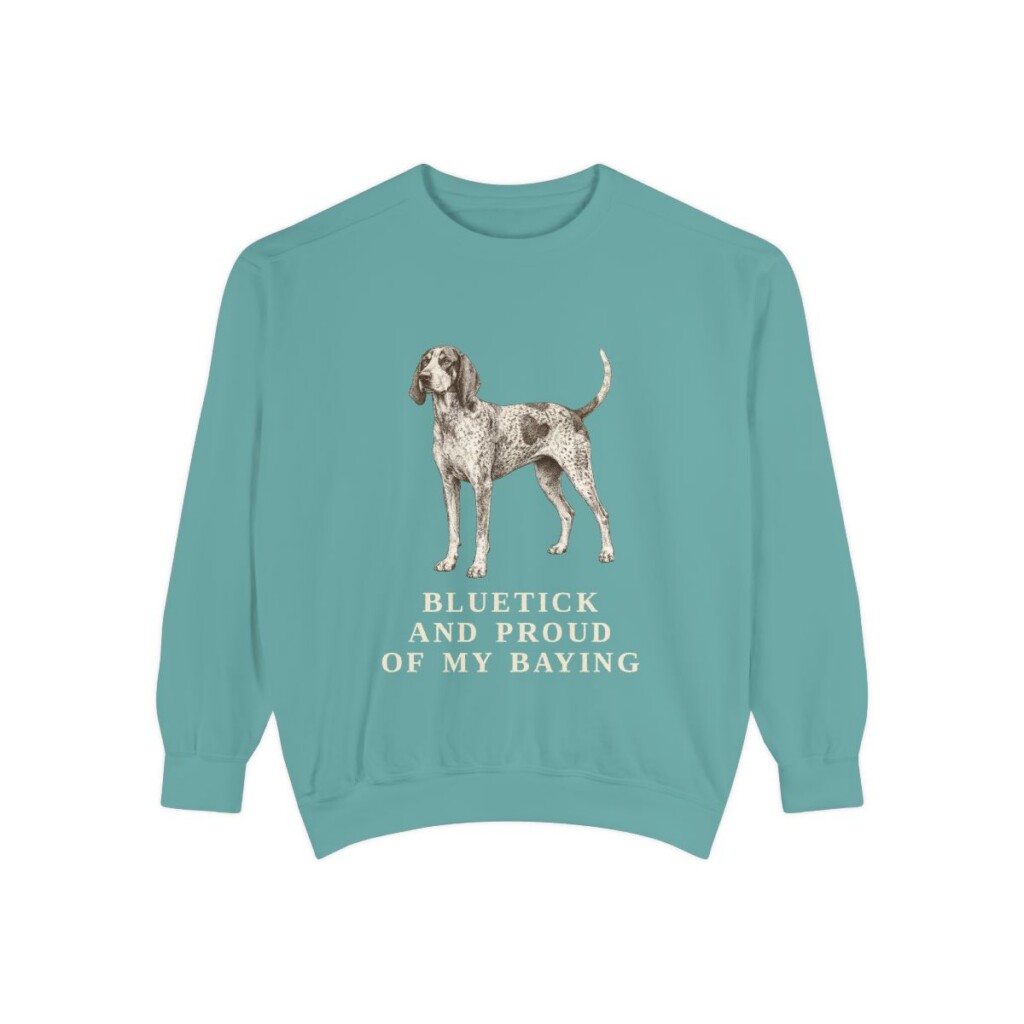 bluetick-coonhound-sweatshirt-humor-seafoam Bluetick Coonhound Humor Sweatshirt, Seafoam, front view