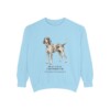 Bluetick Coonhound Latin Sweatshirt, Chambray, front view