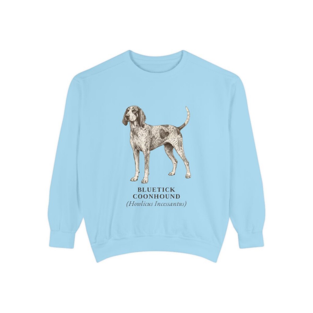 Bluetick Coonhound Latin Sweatshirt, Chambray, front view