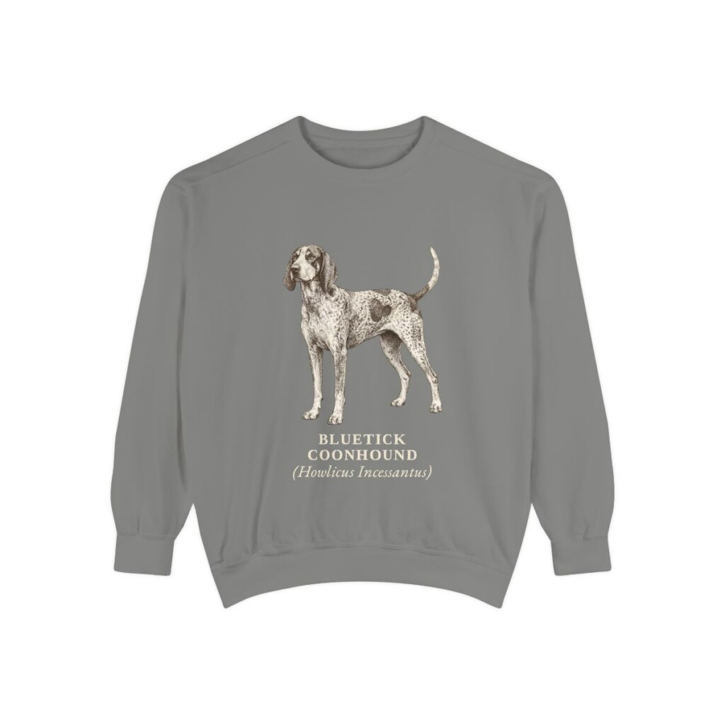 Bluetick Coonhound Latin Sweatshirt, Grey, front view