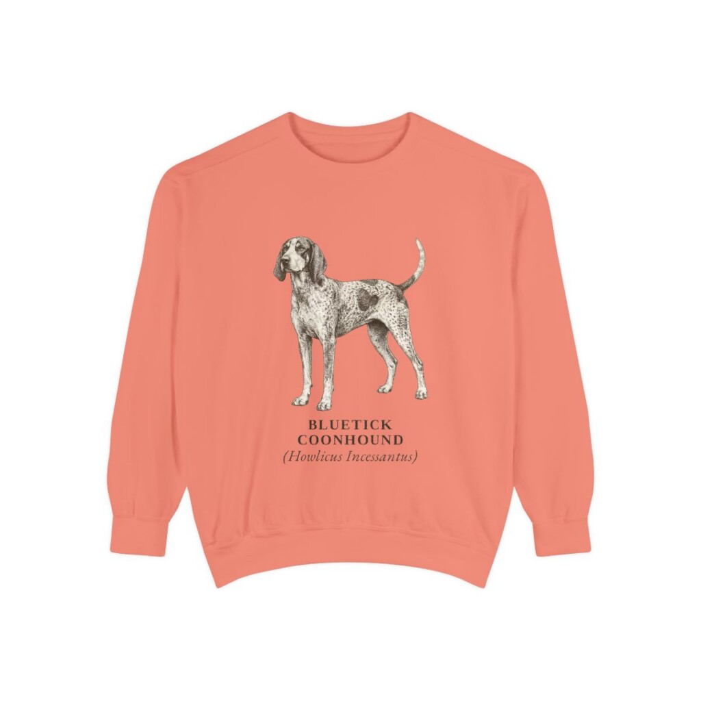 Bluetick Coonhound Latin Sweatshirt, Terracotta, front view