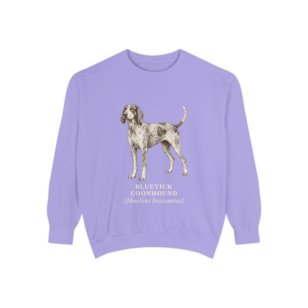 Bluetick Coonhound Latin Sweatshirt, Violet, front view