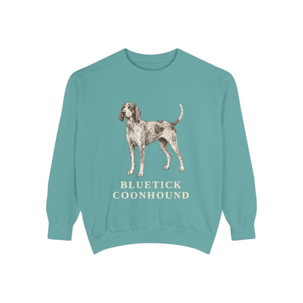 Bluetick Coonhound Sweatshirt, Seafoam, front view