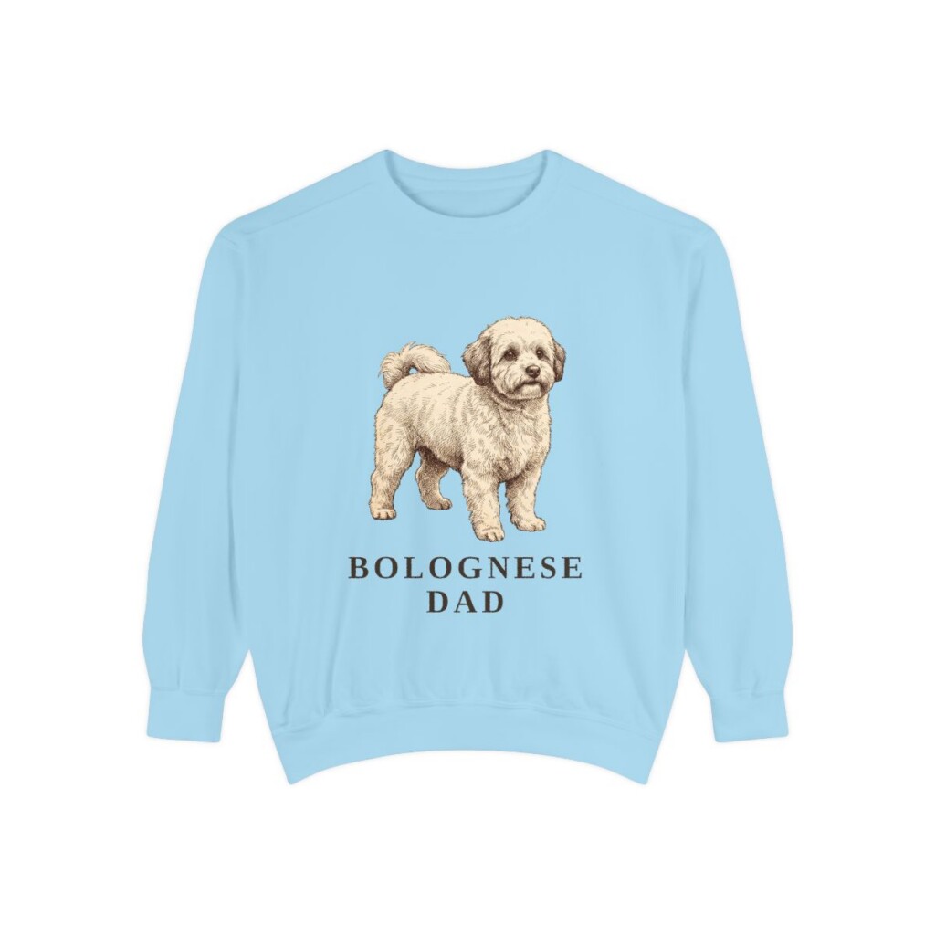 Bolognese Dad Sweatshirt, Chambray, front view