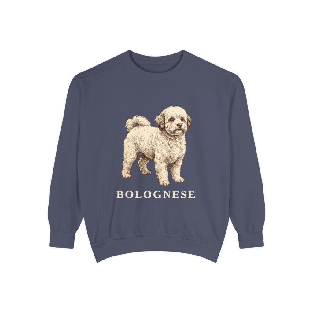 bolognese-sweatshirt-denim Bolognese Sweatshirt, Denim, front view