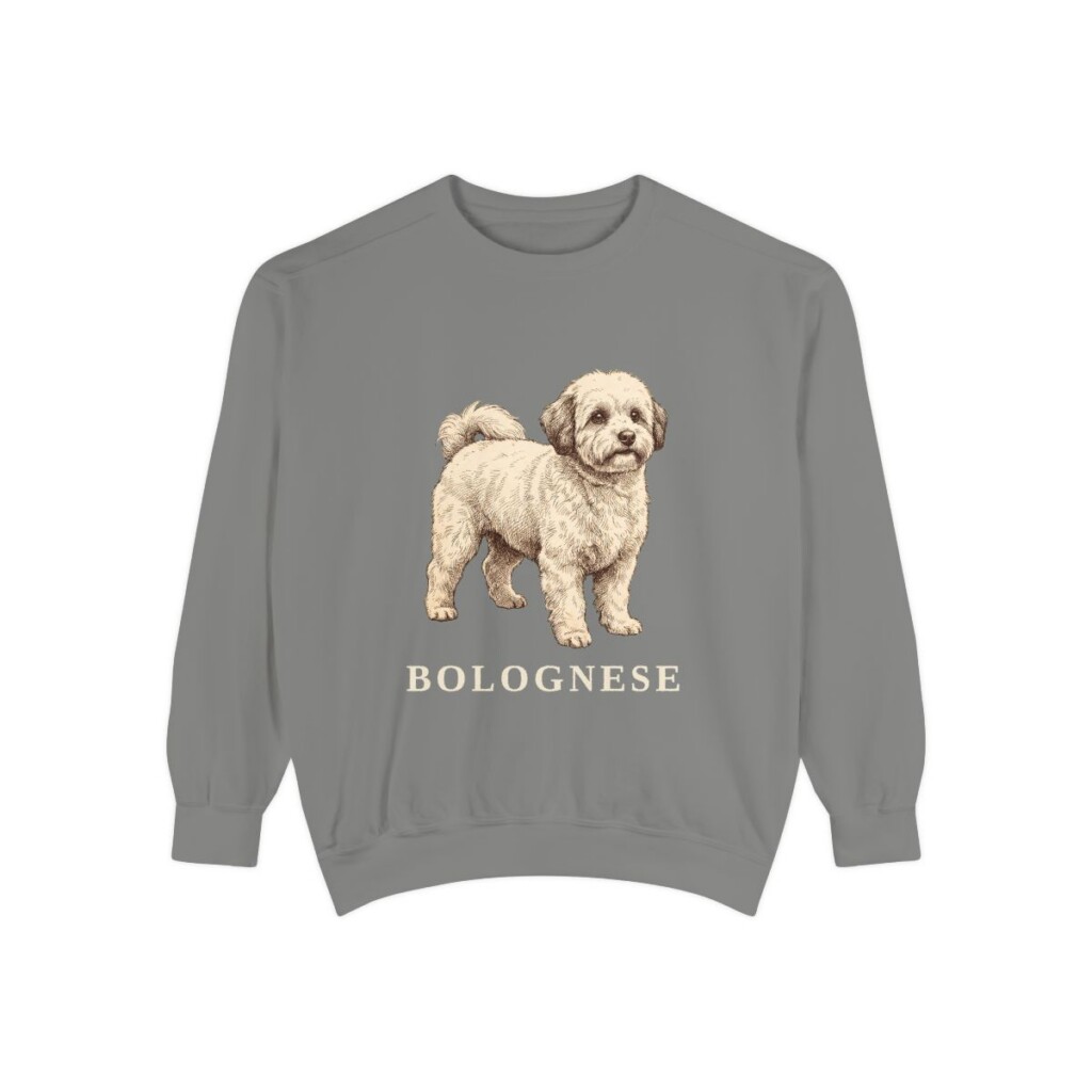 bolognese-sweatshirt-grey Bolognese Sweatshirt, Grey, front view