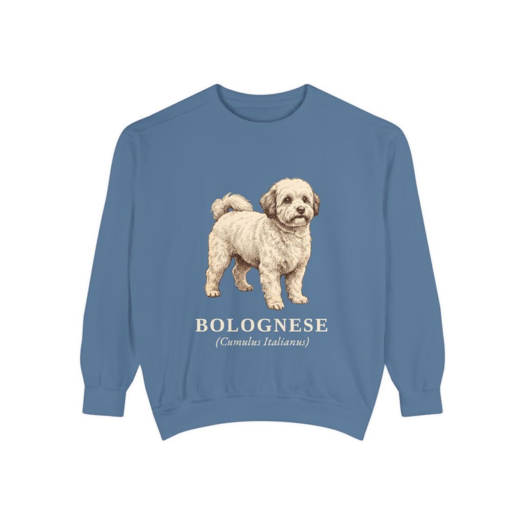 Bolognese Latin Sweatshirt, Blue Jean, front view
