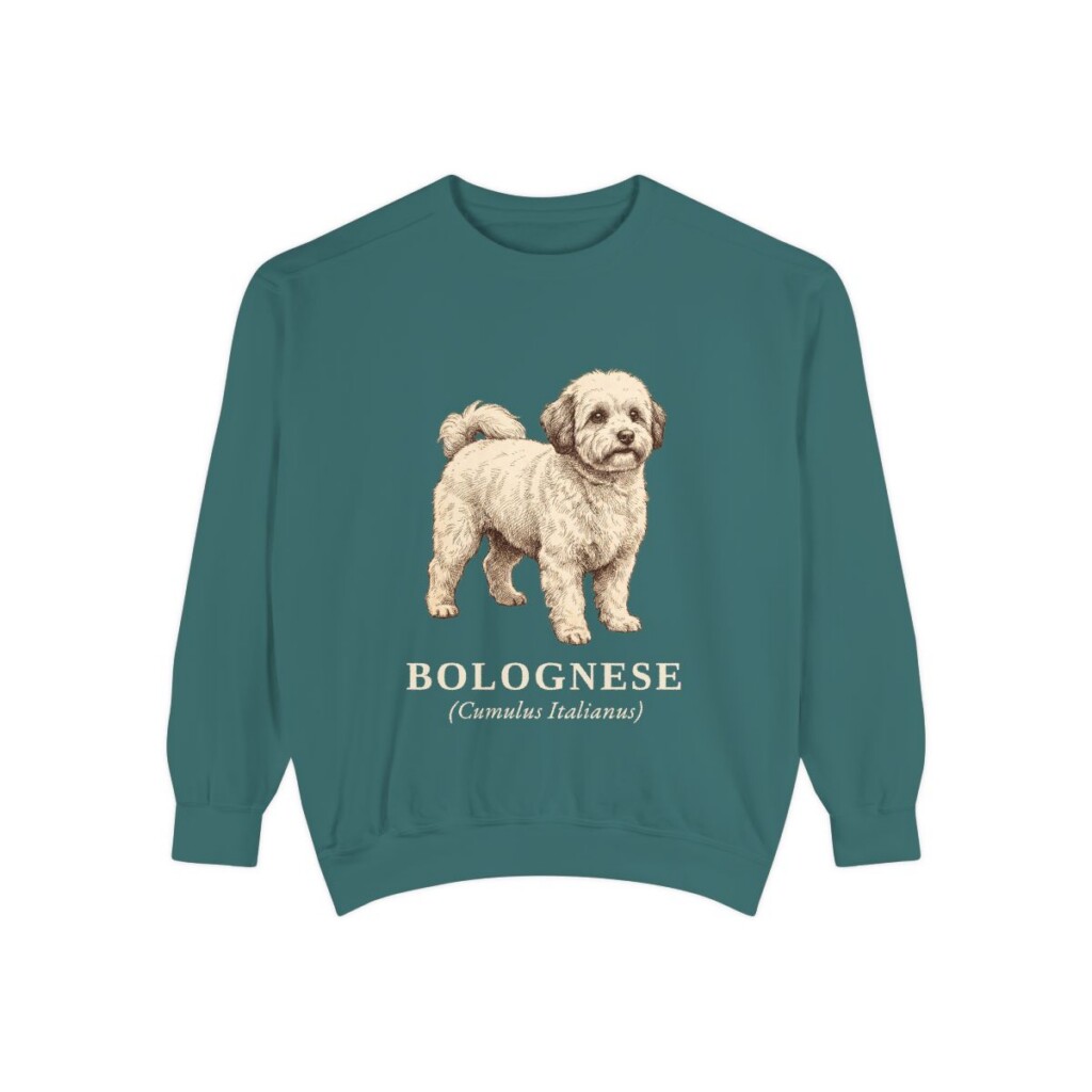 Bolognese Latin Sweatshirt, Blue Spruce, front view