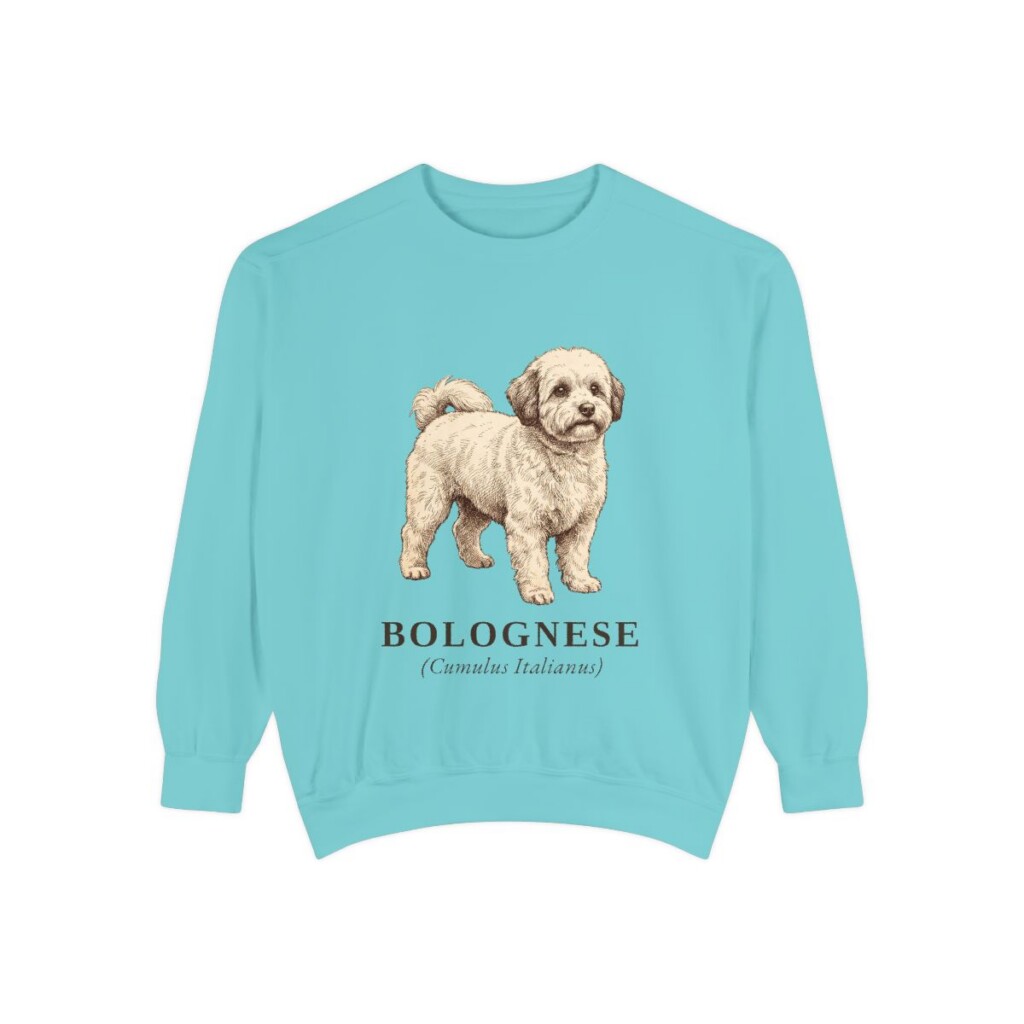 Bolognese Latin Sweatshirt, Chalky Mint, front view