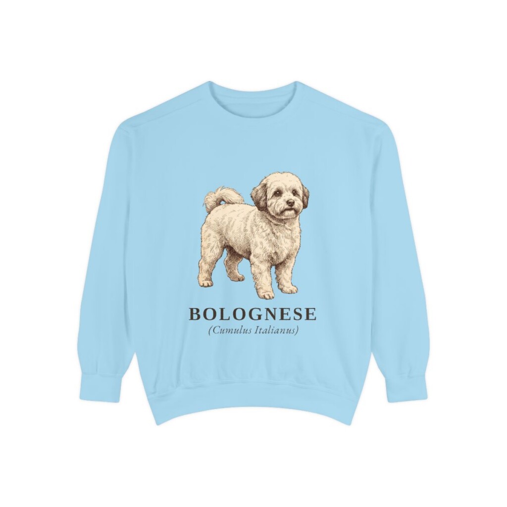 Bolognese Latin Sweatshirt, Chambray, front view