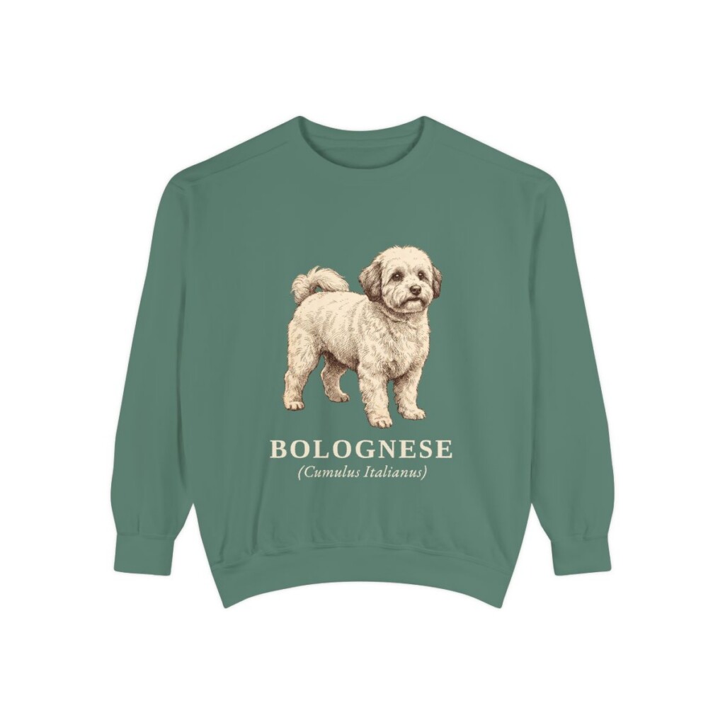 Bolognese Latin Sweatshirt, Light Green, front view