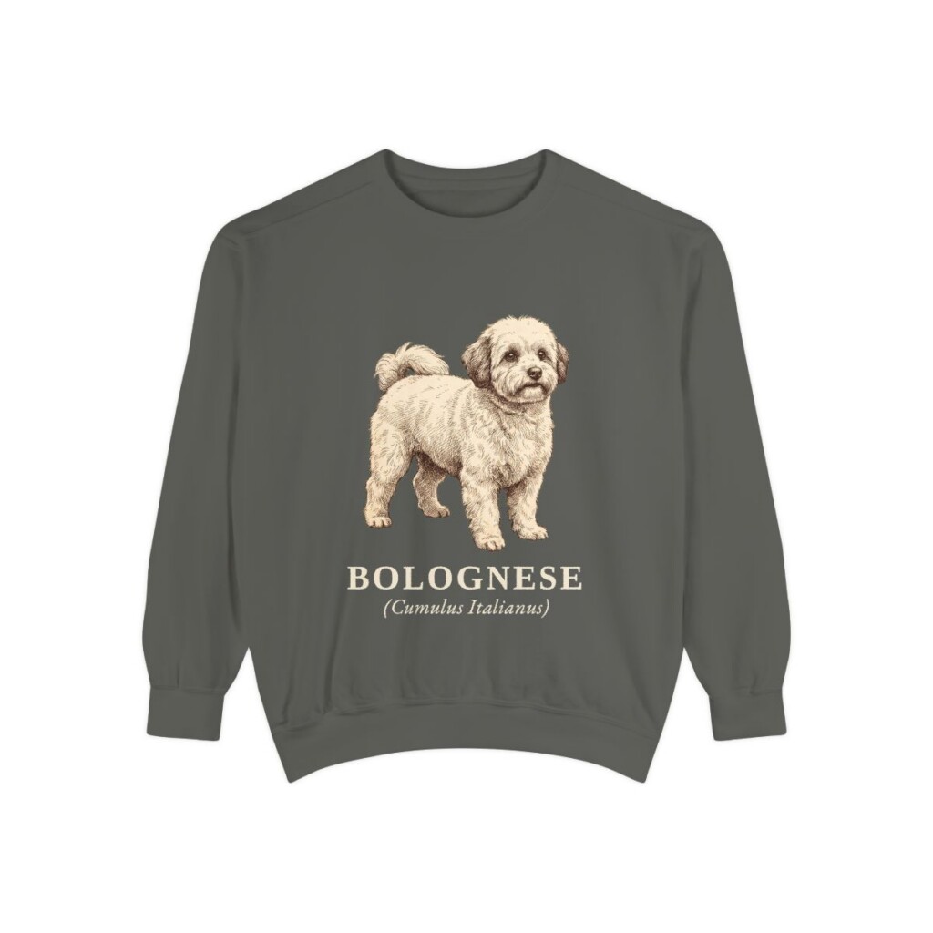 Bolognese Latin Sweatshirt, Pepper, front view