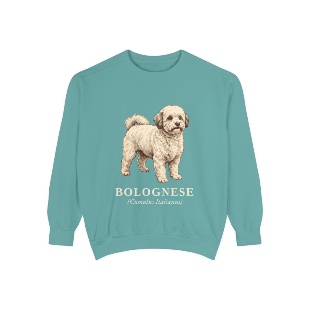Bolognese Latin Sweatshirt, Seafoam, front view