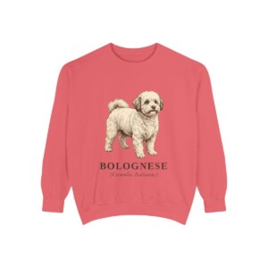 Bolognese Latin Sweatshirt, Watermelon, front view