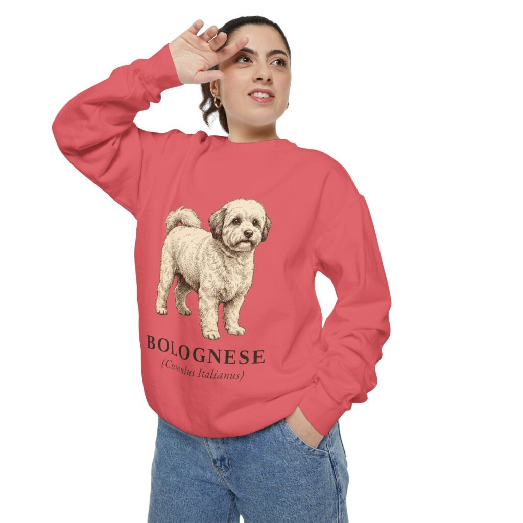 Bolognese Latin Sweatshirt, Watermelon, person 2 context