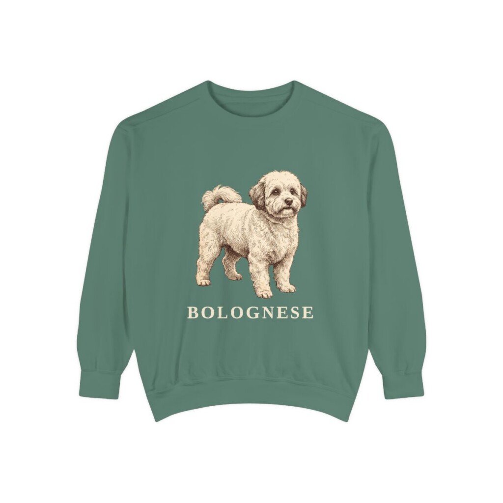 bolognese-sweatshirt-light-green Bolognese Sweatshirt, Light Green, front view