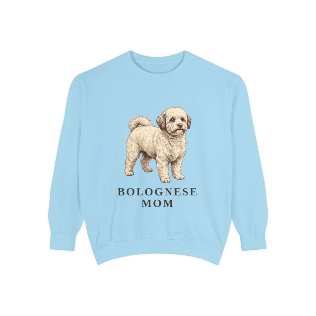Bolognese Mom Sweatshirt, Chambray, front view