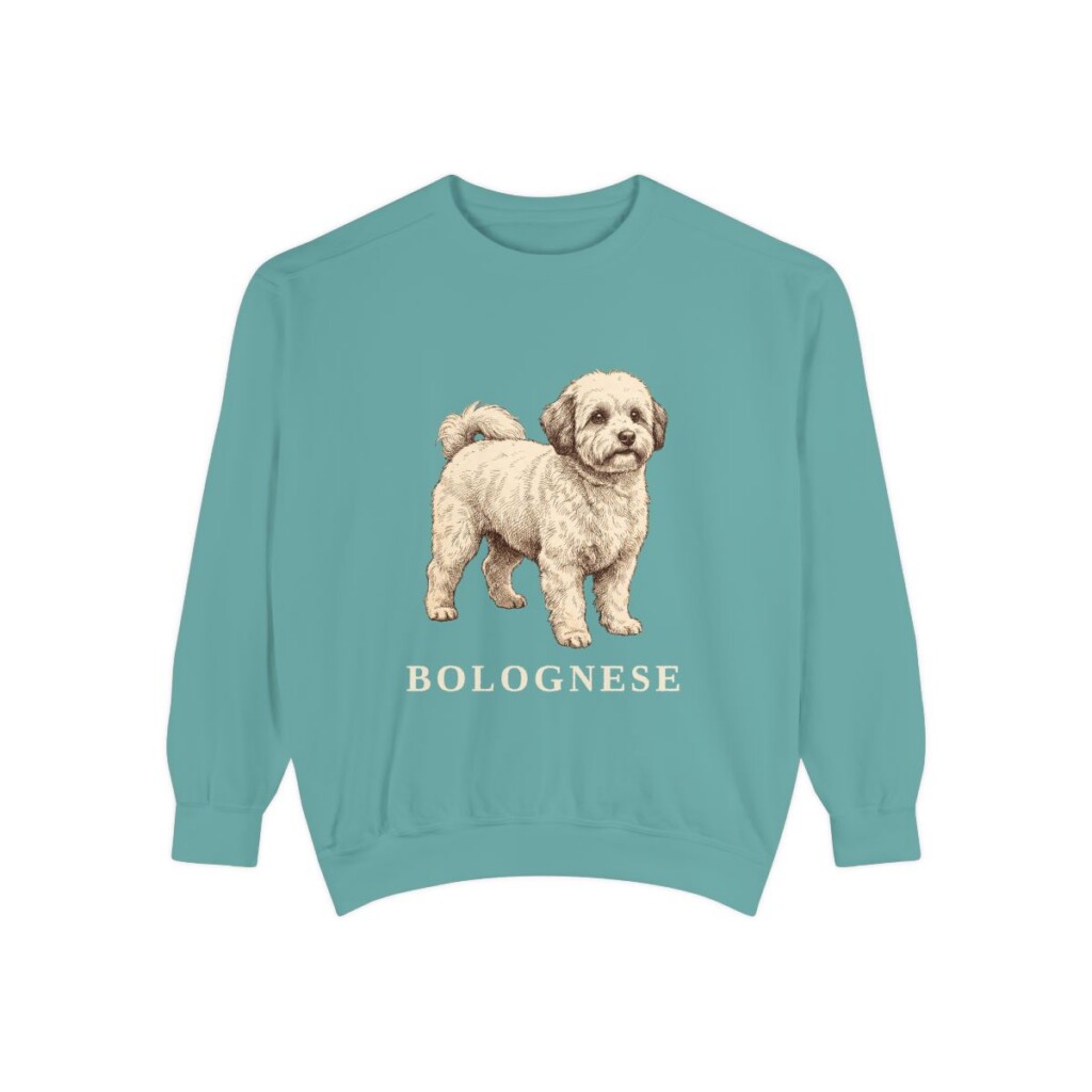 bolognese-sweatshirt-seafoam Bolognese Sweatshirt, Seafoam, front view