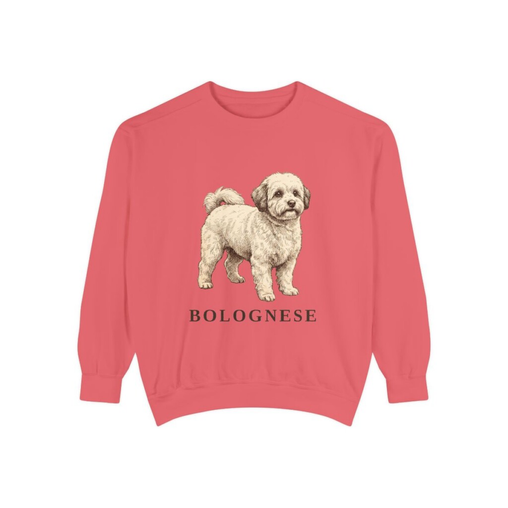 bolognese-sweatshirt-watermelon Bolognese Sweatshirt, Watermelon, front view