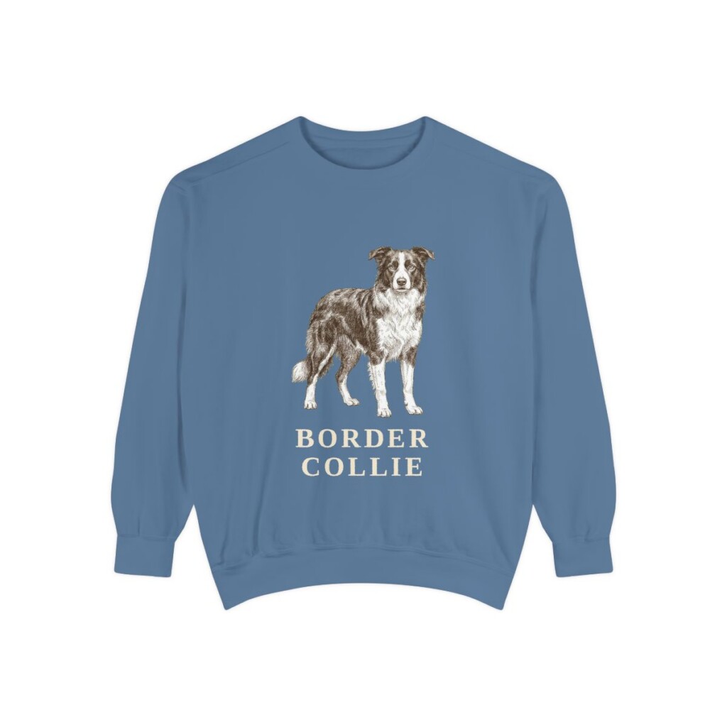 Border Collie Sweatshirt, Blue Jean, front view
