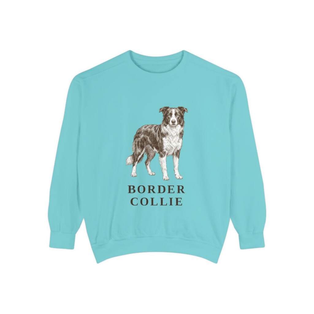 Border Collie Sweatshirt, Chalky Mint, front view