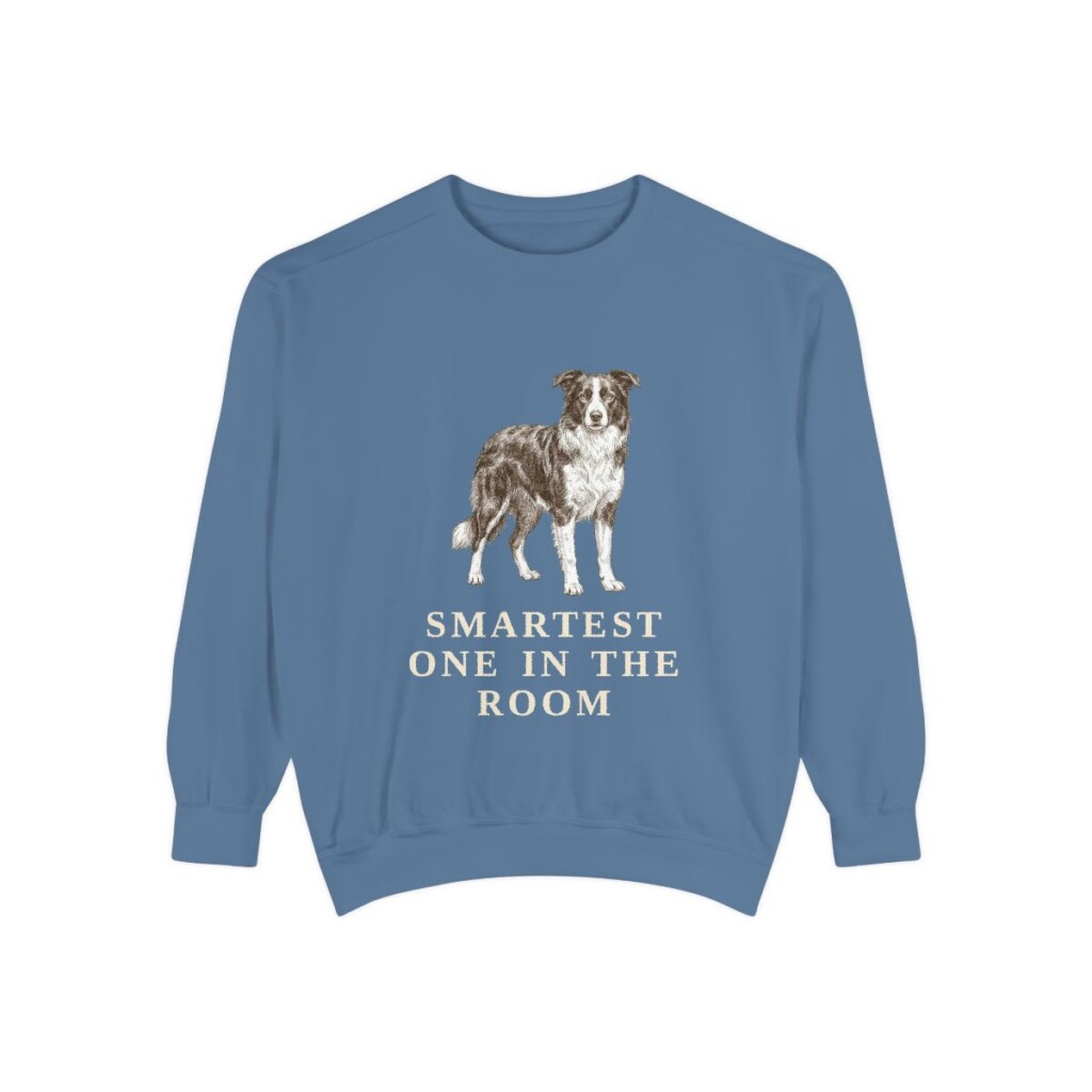 Border Collie Humor Sweatshirt, Blue Jean, front view
