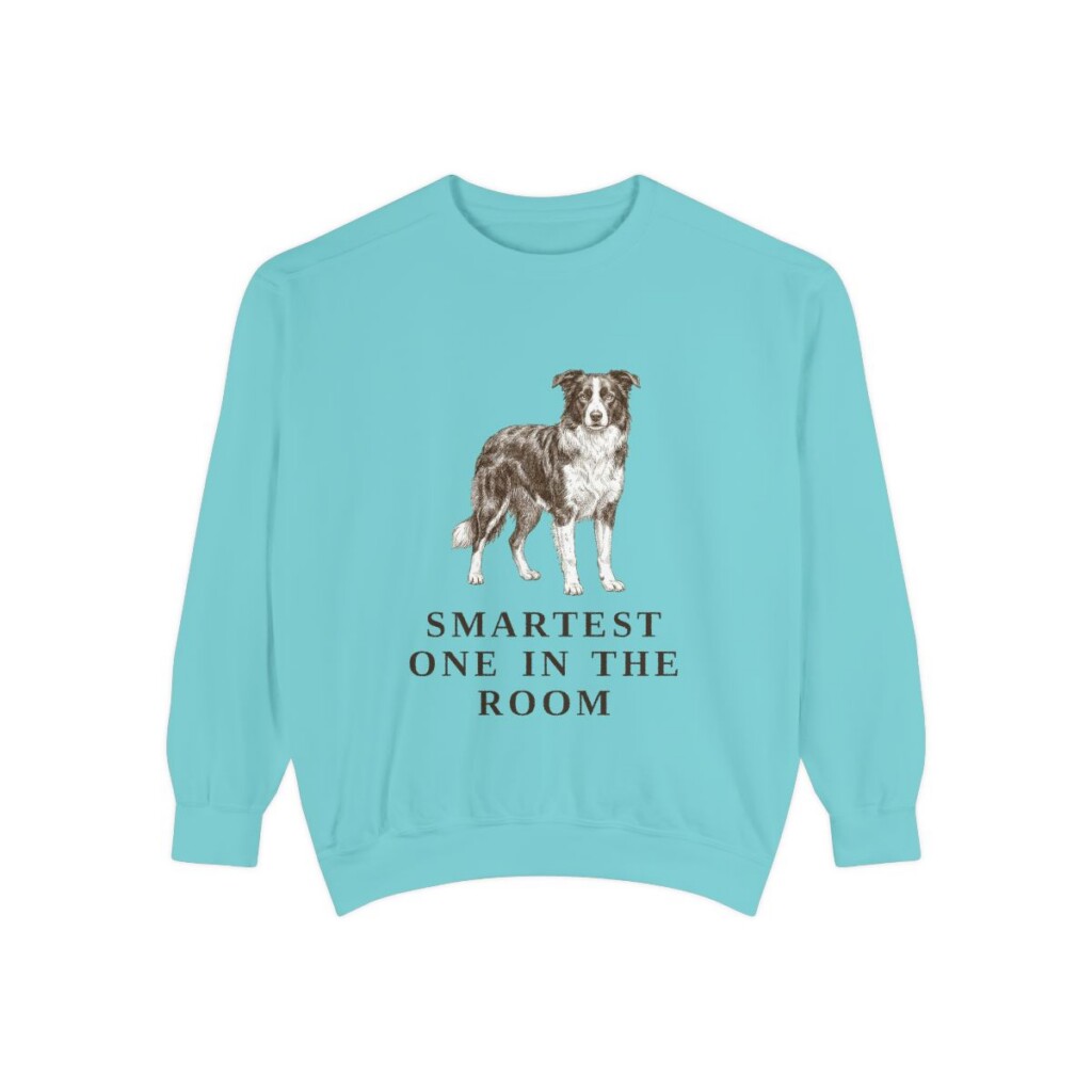 Border Collie Humor Sweatshirt, Chalky Mint, front view