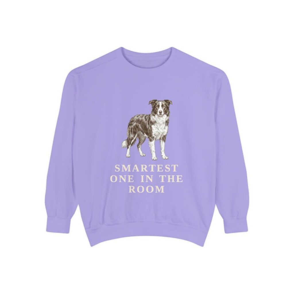 Border Collie Humor Sweatshirt, Violet, front view