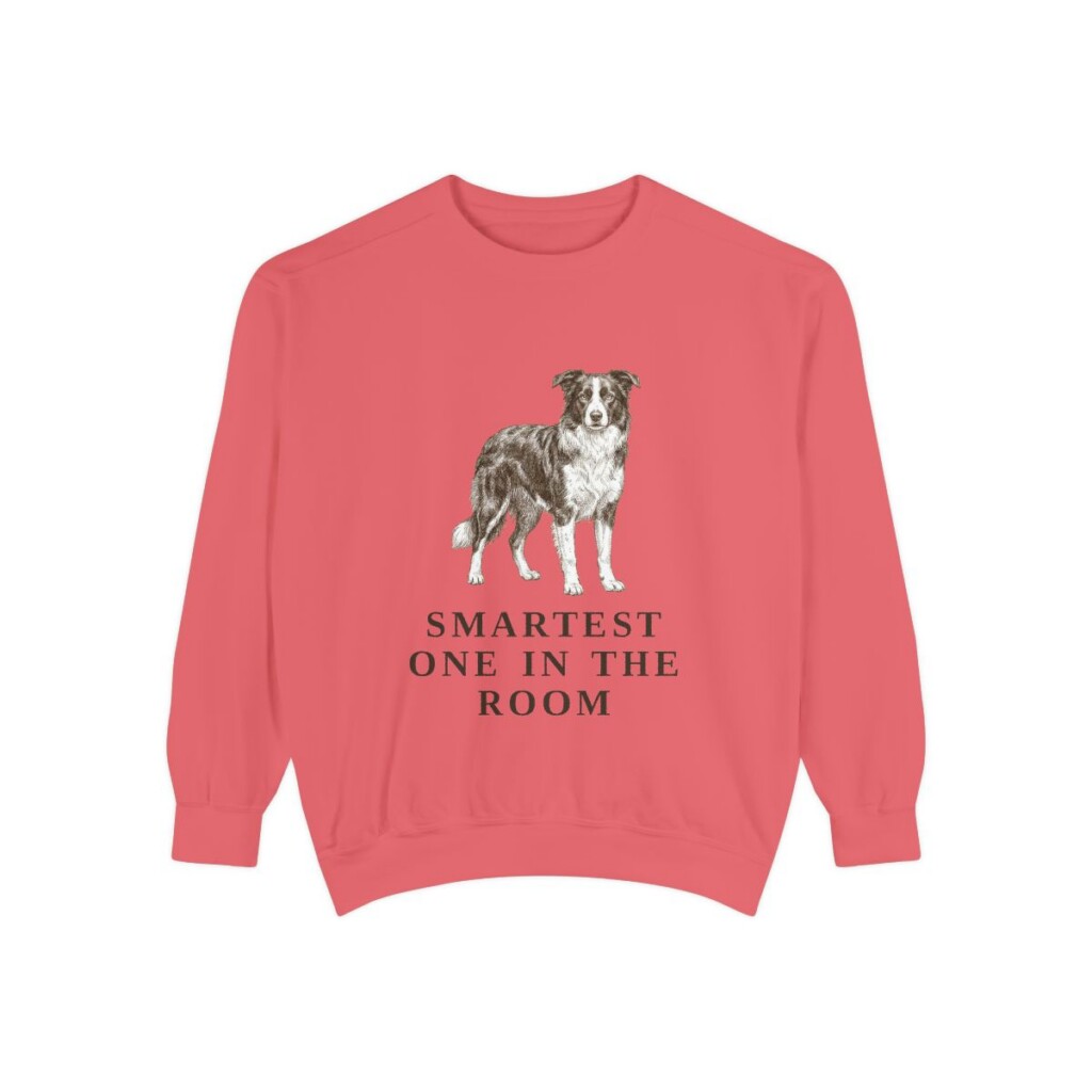 Border Collie Humor Sweatshirt, Watermelon, front view