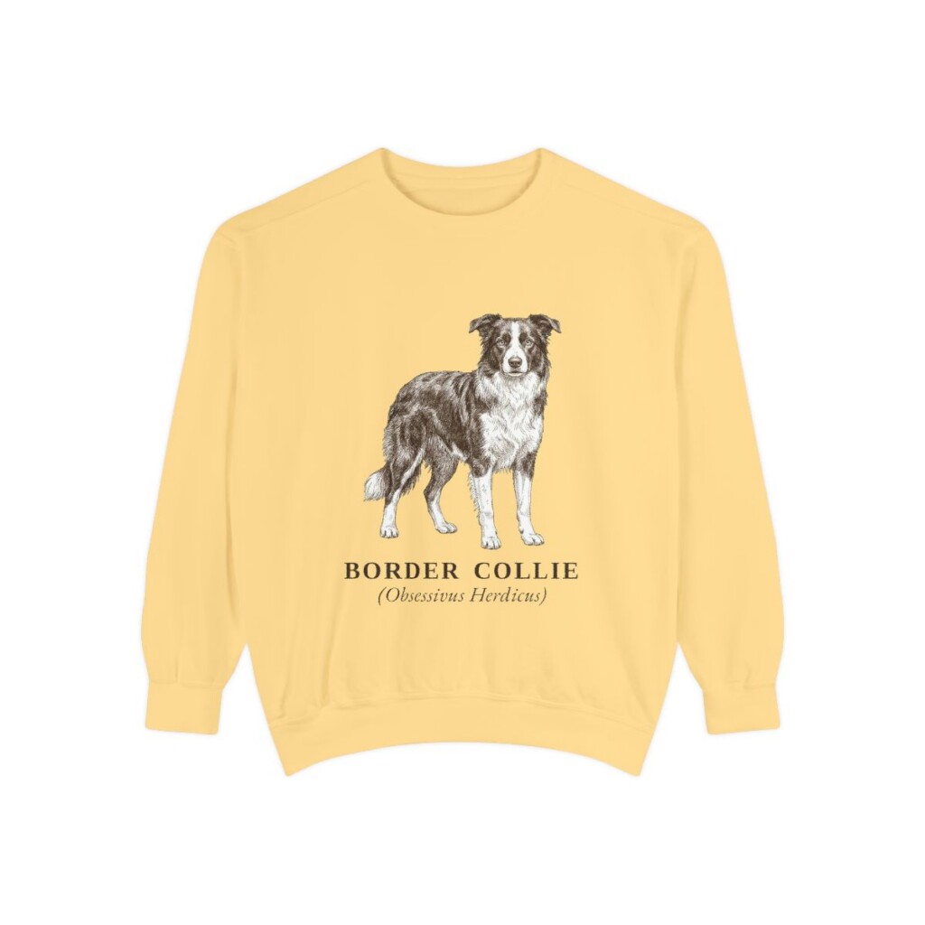 Border Collie Latin Sweatshirt, Butter, front view