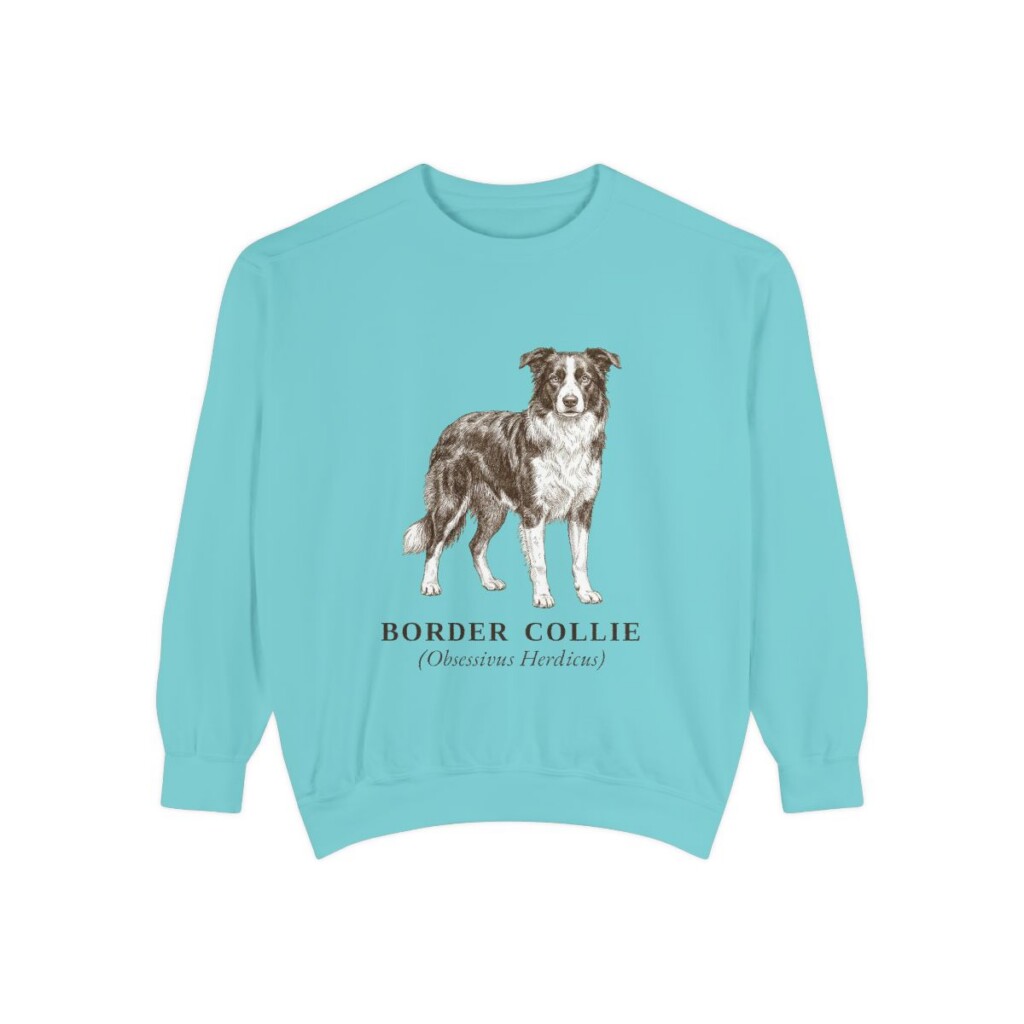 Border Collie Latin Sweatshirt, Chalky Mint, front view
