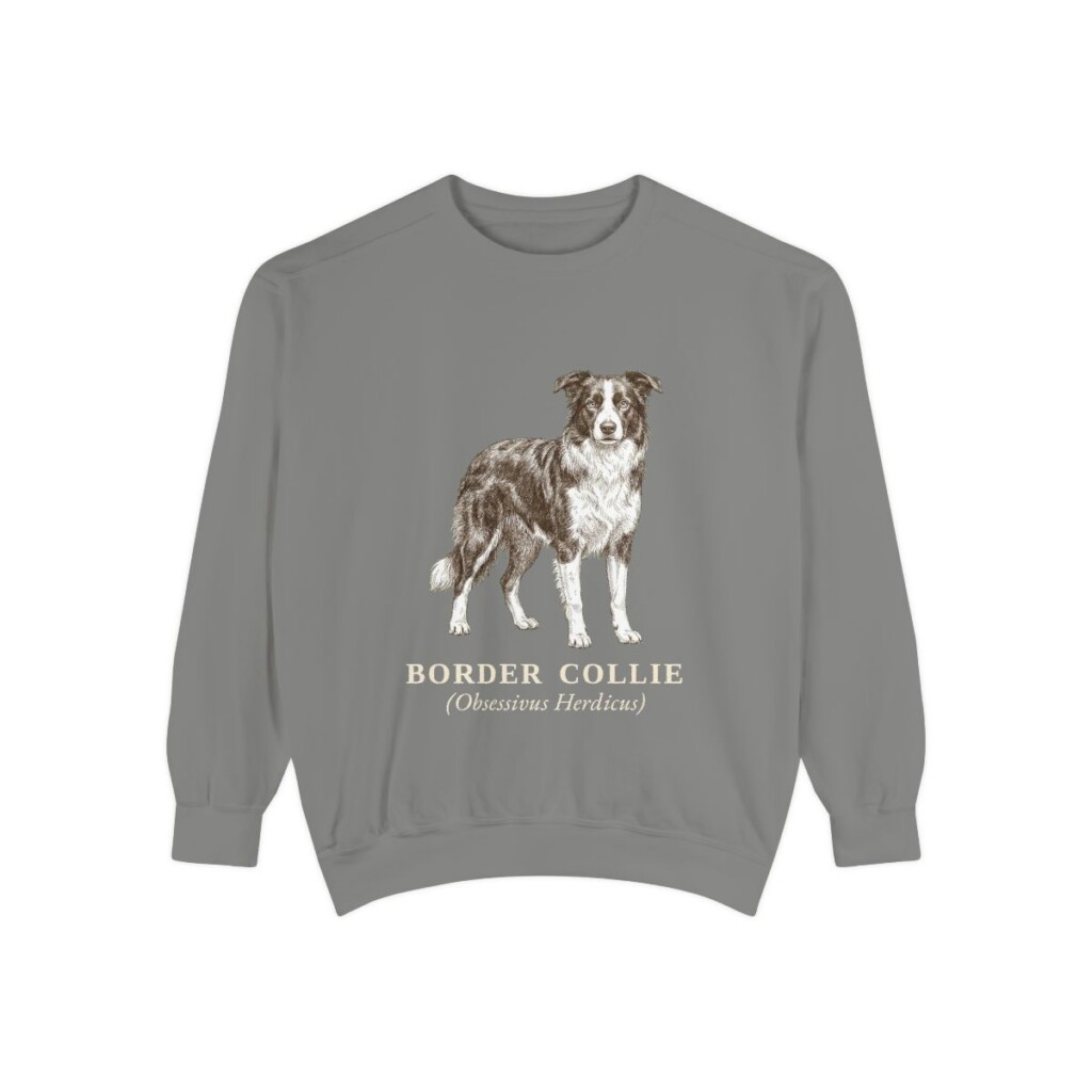 Border Collie Latin Sweatshirt, Grey, front view