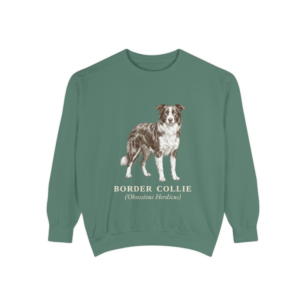 Border Collie Latin Sweatshirt, Light Green, front view