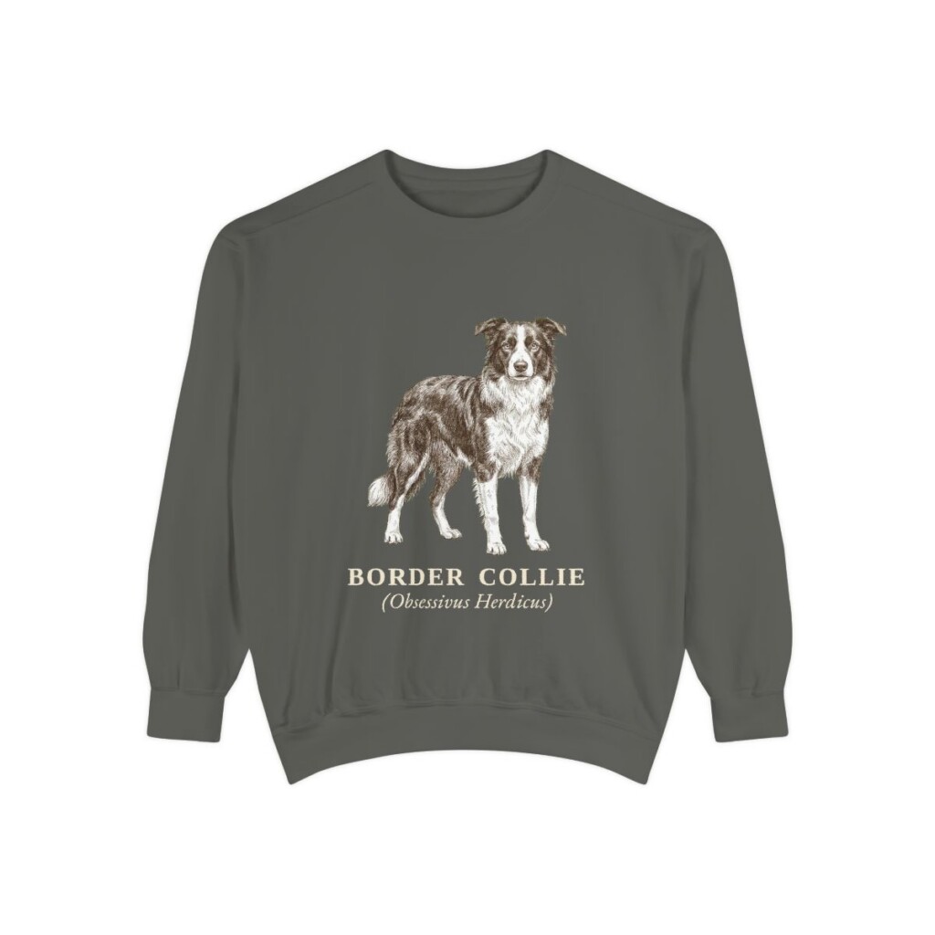 Border Collie Latin Sweatshirt, Pepper, front view