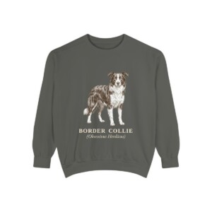 Border Collie Latin Sweatshirt, Pepper, front view