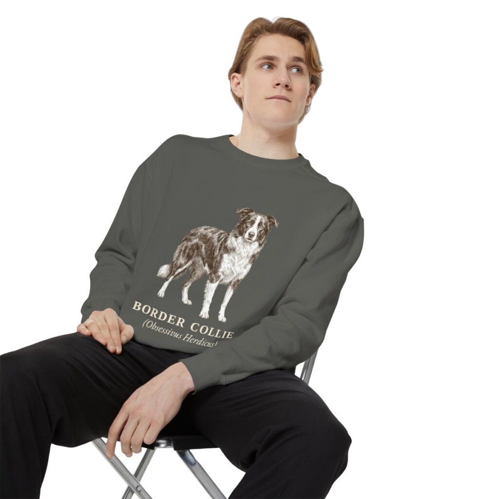 Border Collie Latin Sweatshirt, Pepper, person 1 context
