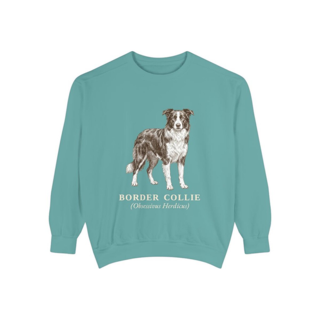 Border Collie Latin Sweatshirt, Seafoam, front view
