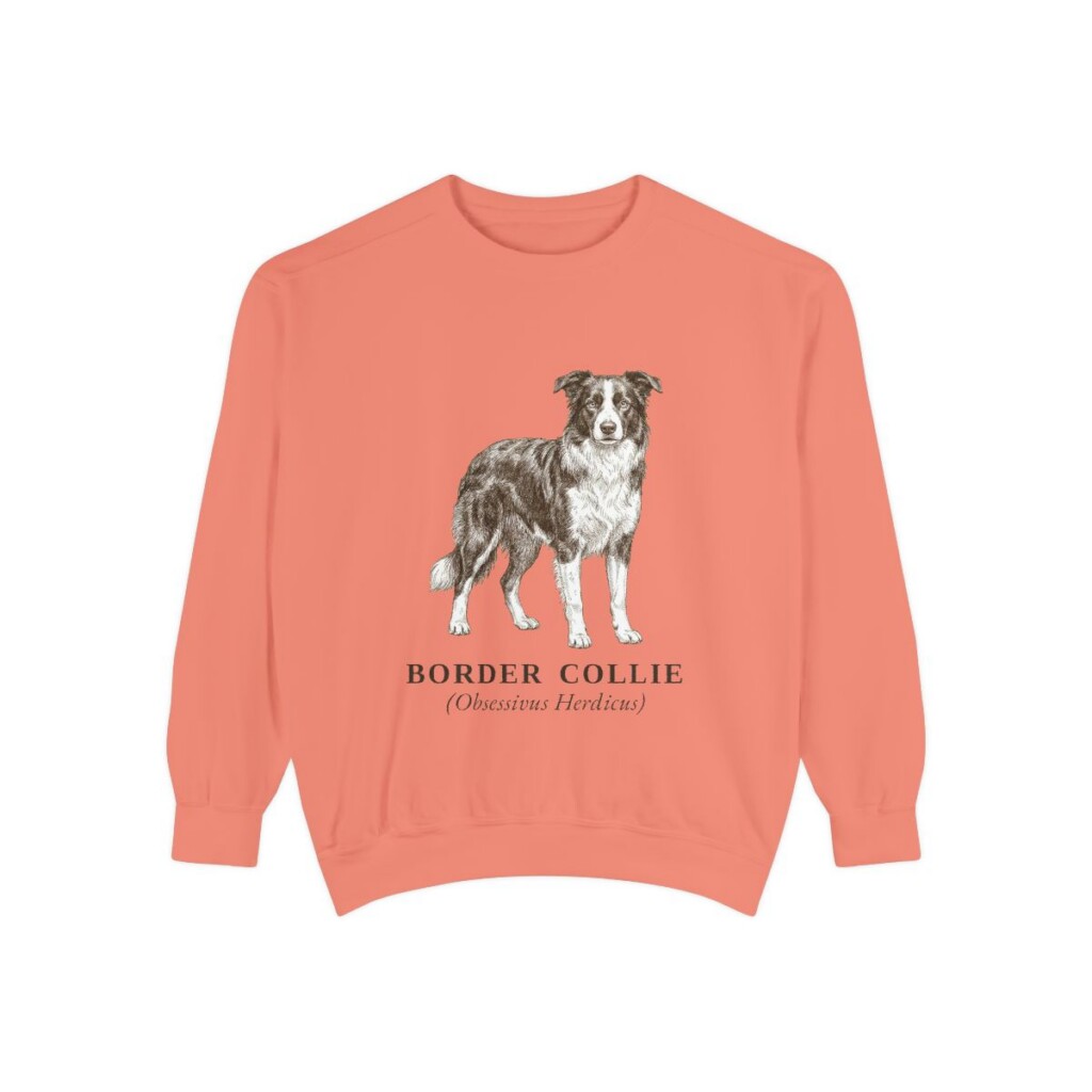 Border Collie Latin Sweatshirt, Terracotta, front view