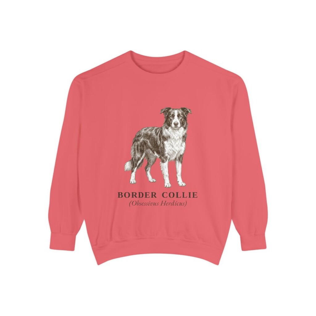 Border Collie Latin Sweatshirt, Watermelon, front view