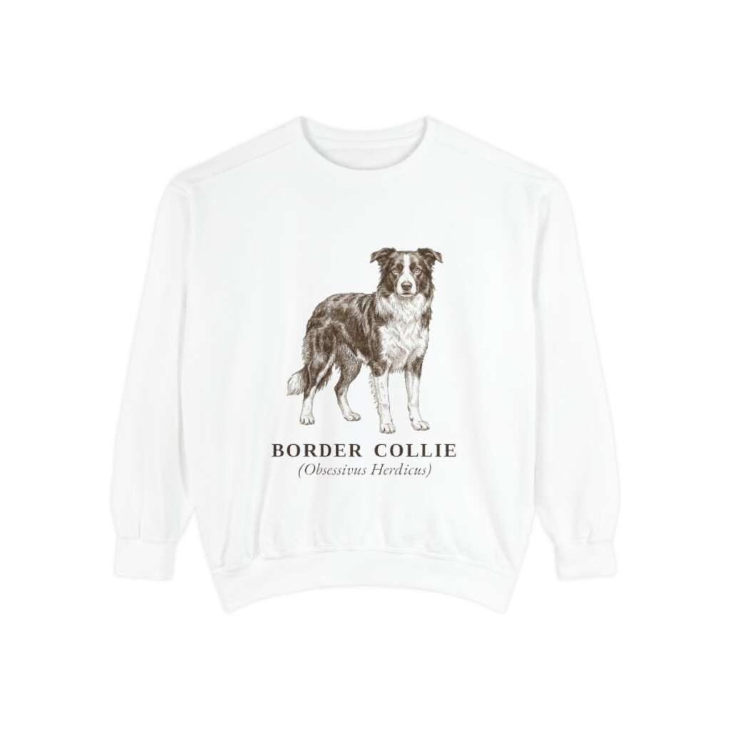 Border Collie Latin Sweatshirt, White, front view