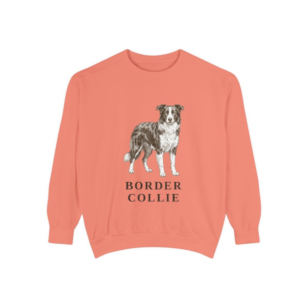 Border Collie Sweatshirt, Terracotta, front view