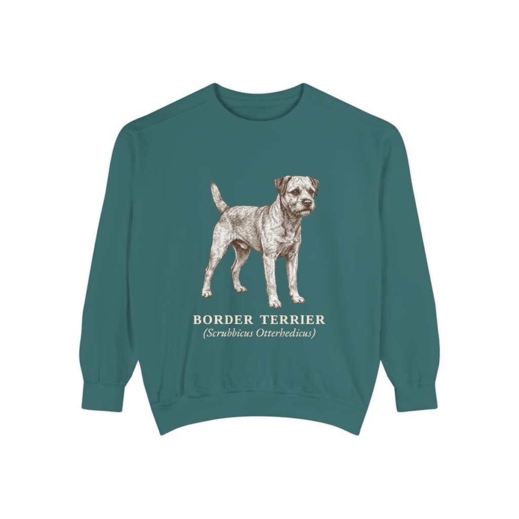 Border Terrier Latin Sweatshirt, Blue Spruce, front view