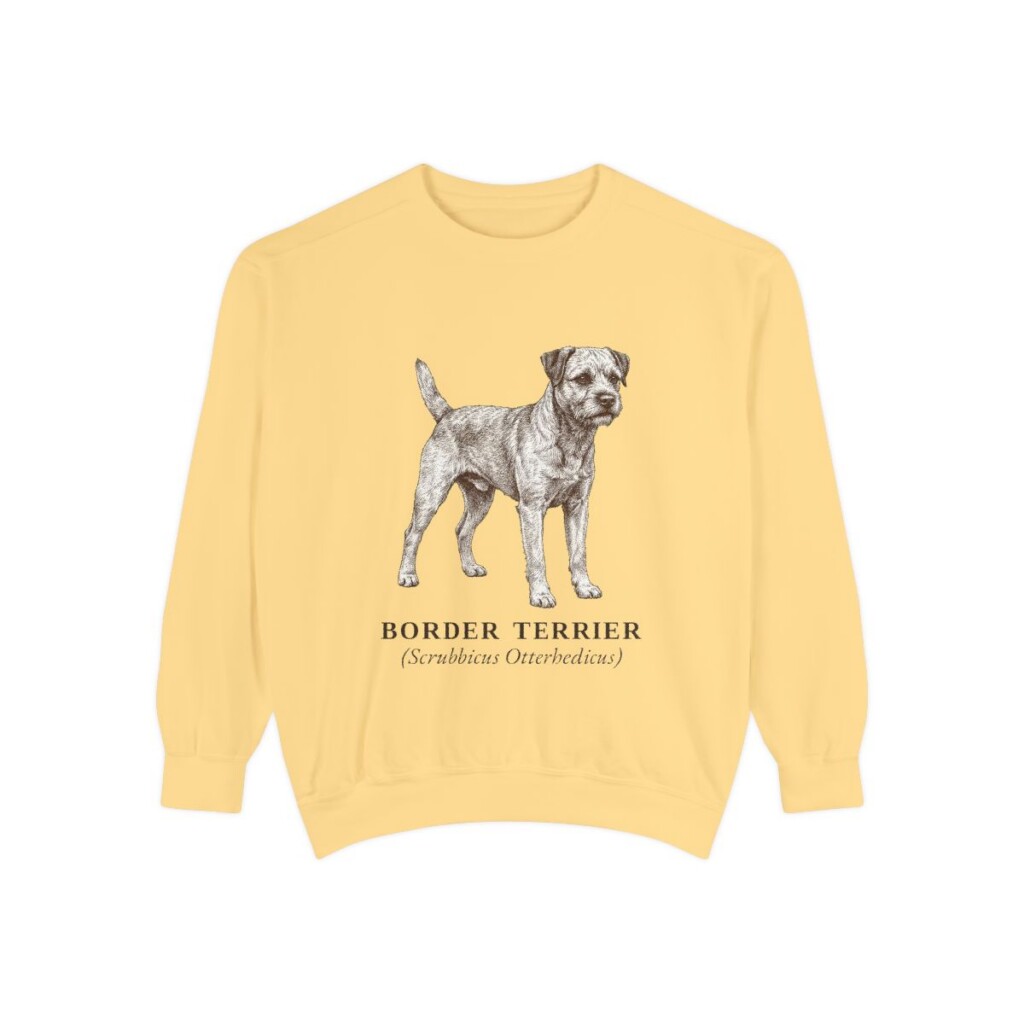 Border Terrier Latin Sweatshirt, Butter, front view